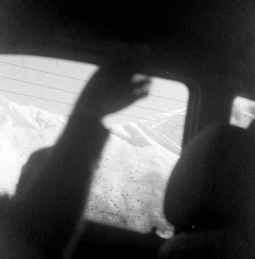 آرتچارت | بدون عنوان از شیما راستین