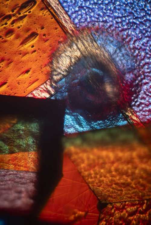 ArtChart | Your Sun is a Dying Star by Neda Saeedi