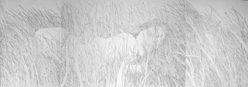 آرتچارت | بدون عنوان از علیرضا بشیری