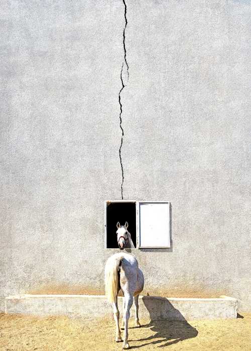 ArtChart | Legend 1 by Abolghasem Khoshroo