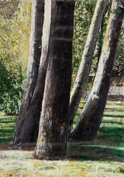 آرتچارت | بدون عنوان از احمد مرشدلو