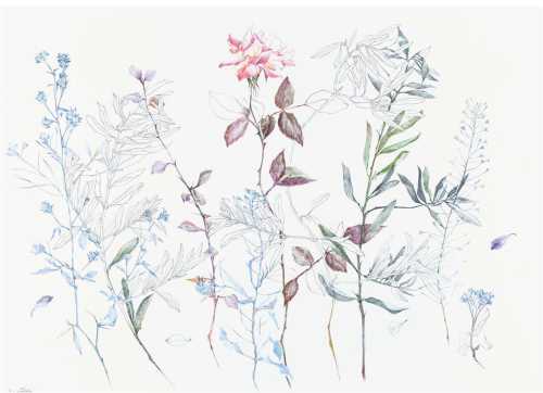 آرتچارت | بدون عنوان از نازیلا مقدم