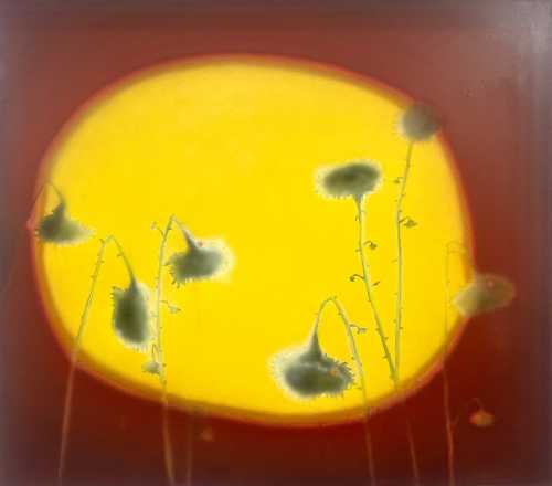 آرتچارت | گرده افشانی زندگی از سام نجاتی