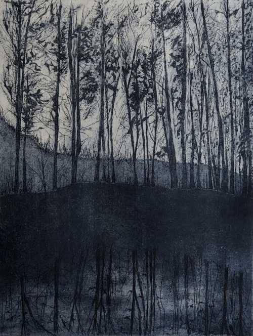 آرتچارت | بدون عنوان از فاطمه حسینی سندیانی