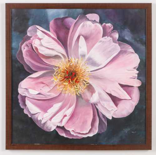 ArtChart | Pink Flower by Sima Chakamian
