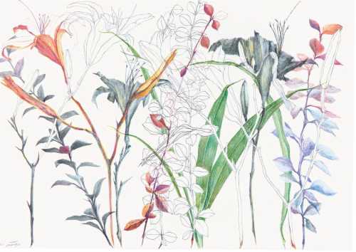 آرتچارت | بدون عنوان از نازیلا مقدم