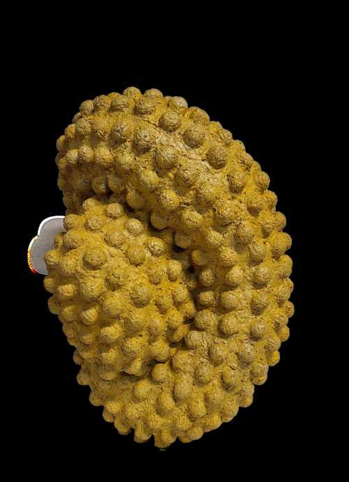 آرتچارت | بدون عنوان از محمد علیزاده