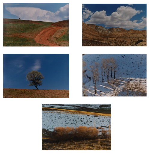 ArtChart | Paysage (set of five chromogenic prints) by Abbas Kiarostami