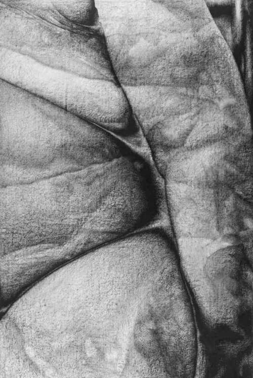 ArtChart | Flesh by Shaya Shahrestani