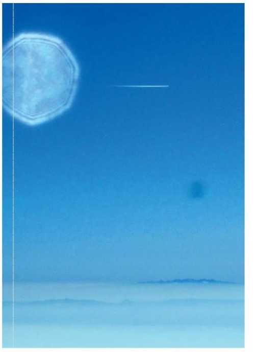 آرتچارت | بدون عنوان از هدیه احمدی