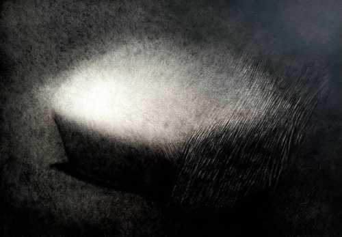 ArtChart | Untitled by Amirali Rahiman