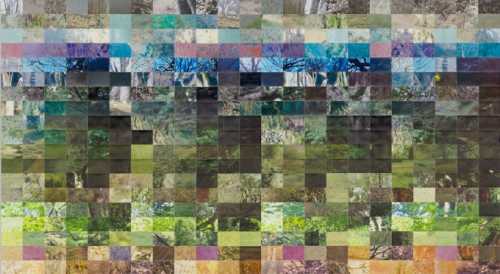 آرتچارت | جنگل از نسترن فتوحی