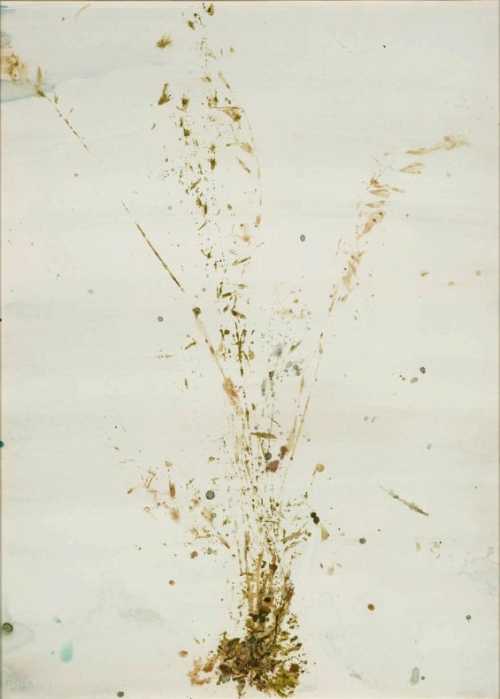 ArtChart | Shape of Plants 3 by Leila Mirzakhani