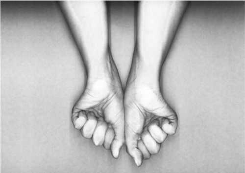 آرتچارت | بقا 2 از آنیتا هاشمی‌مقدم