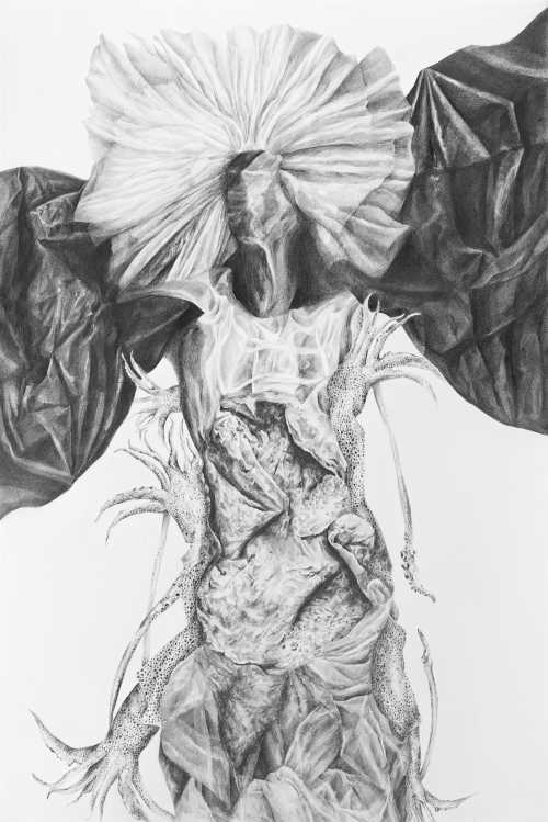 ArtChart | Untitled by Tara Azarm