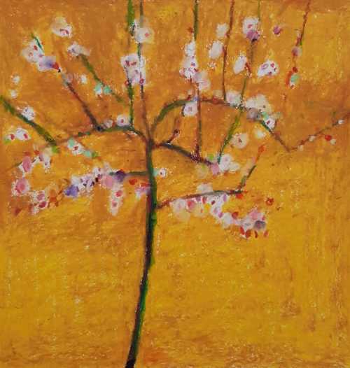 آرتچارت | شکوفه‌های بهاری از شاهو بابایی