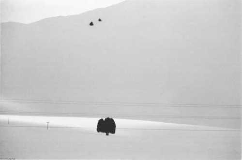 ArtChart | Untitled #1 from Snow White by Abbas Kiarostami