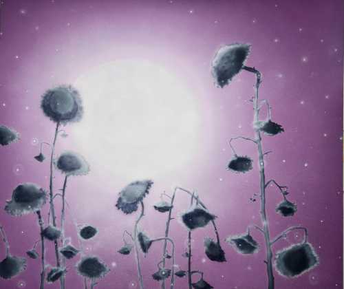 آرتچارت | شیدایی از سام نجاتی