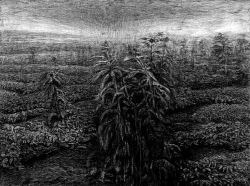 ArtChart | Untitled by Mohammadreza Khalili