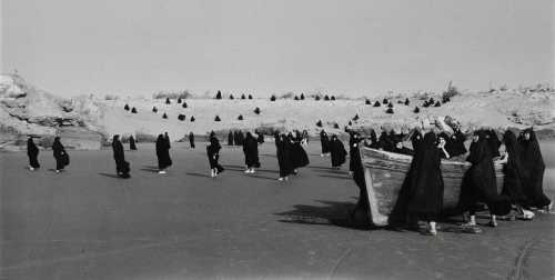 ArtChart | Untitled (from the Rapture series) by Shirin Neshat