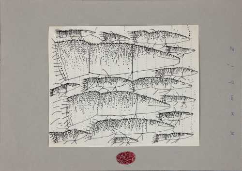 ArtChart | Untitled by Kambiz Derambakhsh