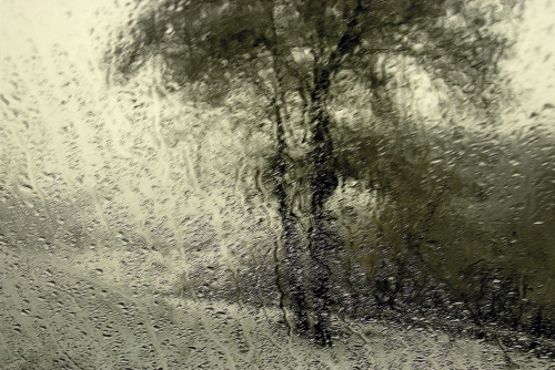 ArtChart | Untitled by Abbas Kiarostami