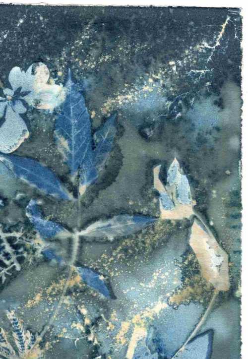 آرتچارت | بدون عنوان از نازلی عباس‌پور