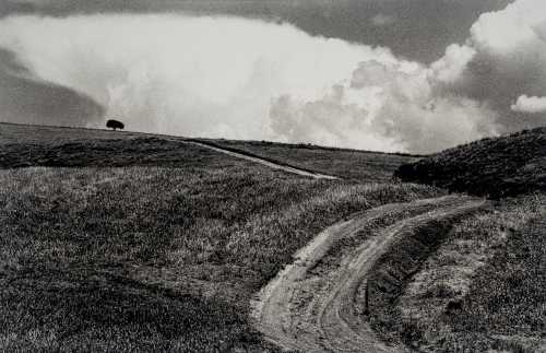 آرتچارت | بدون عنوان، از مجموعه «جاده» از عباس کیارستمی