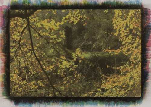 آرتچارت | بدون عنوان از مهرعلی رزاق‌منش