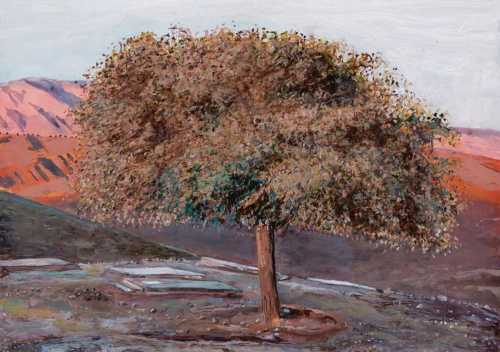 آرتچارت | بدون عنوان از احمد مرشدلو