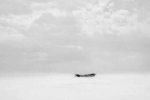 آرتچارت | ز مجموعه "روایت یک رویا" از ابراهیم نوروزی