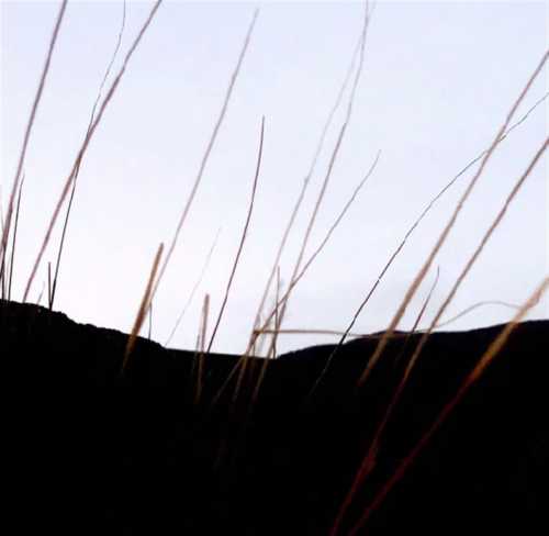 ArtChart | Untitled by Kimia Askarian