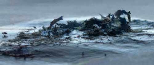 ArtChart | Untitled by Tannaz Boreiry