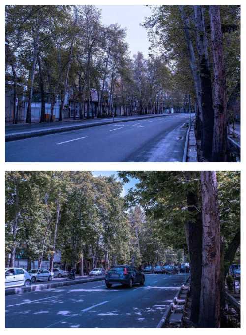 ArtChart | Valiasr Street by Fatemeh Khajehnoori