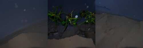 ArtChart | Untitled by Kavian Esmaeili