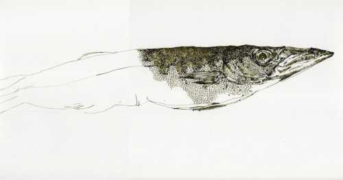 ArtChart | Untitled by Samaneh Motallebi