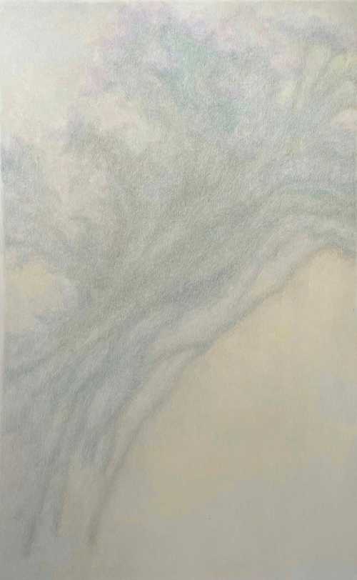 آرتچارت | بدون عنوان از مهسا عیوض پور