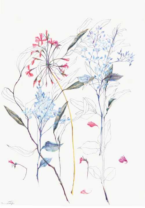 آرتچارت | بدون عنوان از نازیلا مقدم