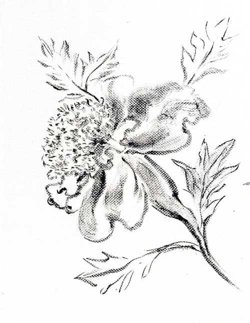 آرتچارت | بدون عنوان از منیر فرمانفرماییان