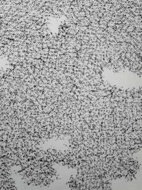 آرتچارت | بدون عنوان از میترا اردلان