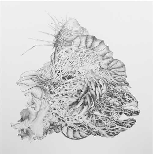 ArtChart | Untitled by Tara Azarm