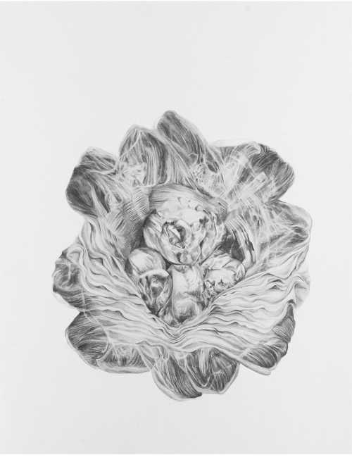 ArtChart | Untitled by Tara Azarm