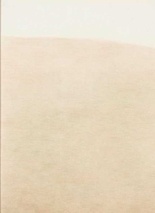 ArtChart | Go to the Land 5 by Leila Mirzakhani