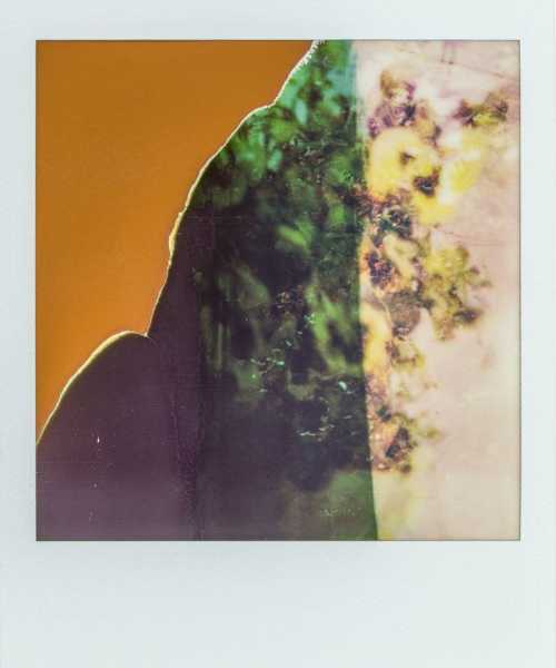 آرتچارت | روز 19 نمایندگی از مهرداد افسری