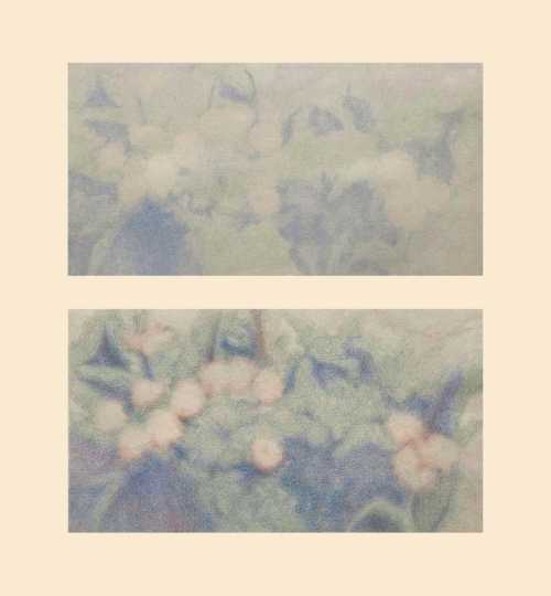 آرتچارت | بدون عنوان از مهسا عیوض پور