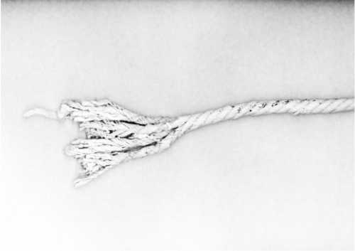 آرتچارت | بقا 3 از آنیتا هاشمی‌مقدم