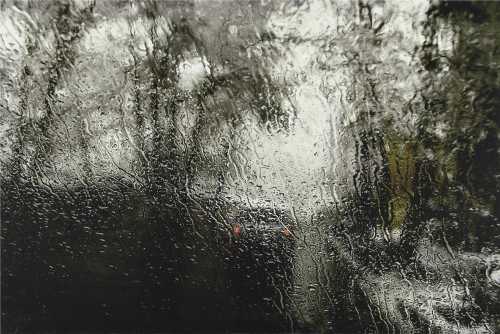 ArtChart | Untitled by Abbas Kiarostami