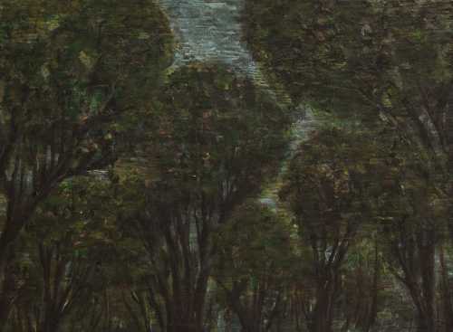 آرتچارت | بدون عنوان از شیوا سرلک