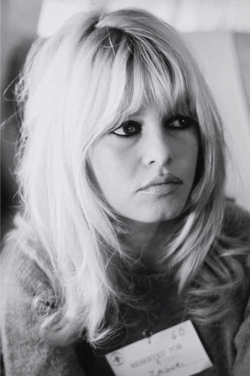 ArtChart | Brigitte Bardot by Shahrokh Hatami