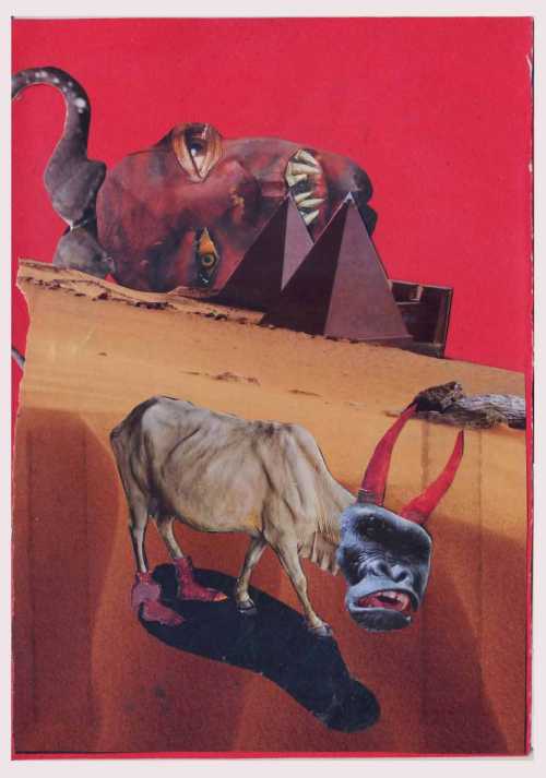 آرتچارت | سرزمین مقدس از میرمحمد فتاحی